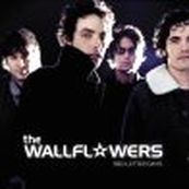 Wallflowers - RED LETTER DAYS