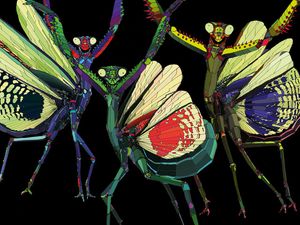 Concerti, Musical Zoo Festival: la parola agli organizzatori 