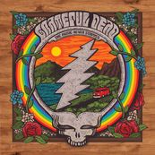 Grateful Dead - THE MUSIC NEVER STOPPED