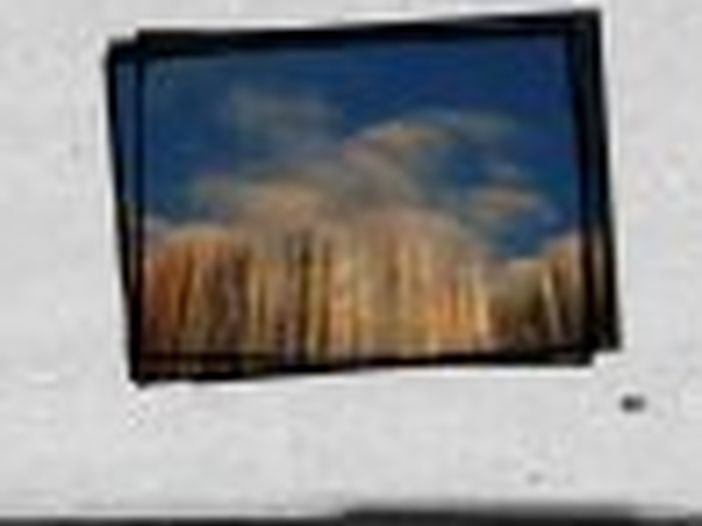 Intitolato a Ernesto De Pascale l&#039;Anfiteatro delle Cascine a Firenze