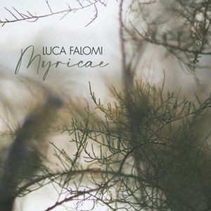 Luca Falomi Luca Falomi