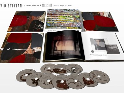 David Sylvian: &apos;Il pop? No grazie, oggi la mia è musica da camera&apos;