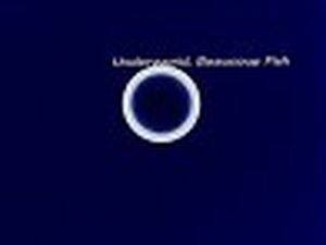 Movement 2011, a Torino Underworld, Craig e Garnier. Anteprima con Kalkbrenner