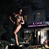 Il Cane - RISPARMIO ENERGETICO
