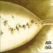 Lambchop - AWCMON - NOYOUCMON