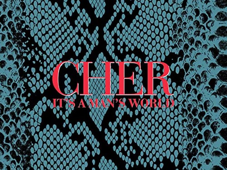 Cher: 'Alla mia etichetta non importa del mio album'
