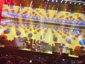 Confermata per il 12 novembre l&apos;uscita del nuovo album di Paul McCartney