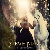 Stevie Nicks - IN YOUR DREAMS