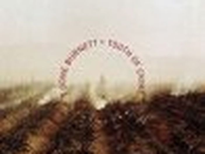 T Bone Burnett: in uscita album &#039;gemelli&#039;