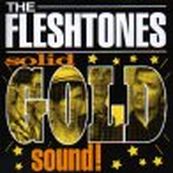 Fleshtones - SOLID GOLD SOUND