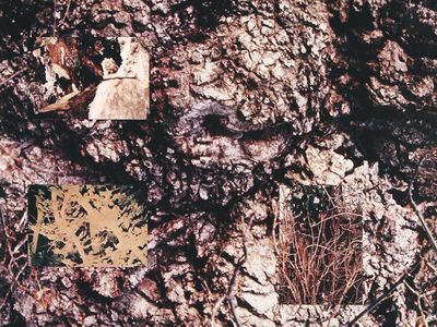 A fine mese il ritorno degli Icicle Works dopo 16 anni