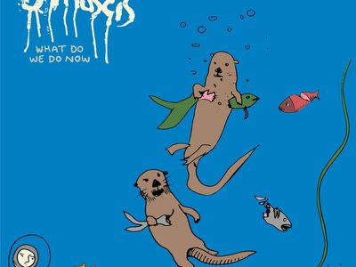 Rubata la chitarra di J Mascis (Dinosaur Jr) dopo un live in Oregon