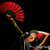 5 luglio 2016 - Blues in Villa - Parco di Villa Varda - Brugnera (Pn) - Incognito in concerto