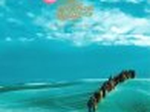 La Hollywood Records ingaggia i Polyphonic Spree