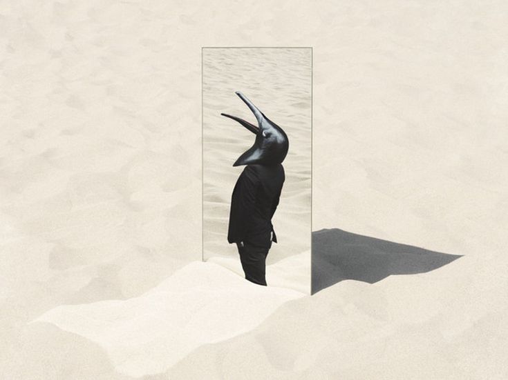 THE IMPERFECT SEA Penguin Café