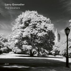 Larry Grenadier Larry Grenadier
