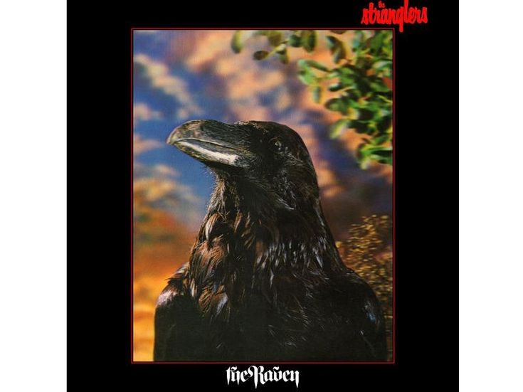 The Raven