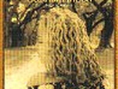 Al via &apos;Just like a woman&apos;, festival di grandi voci femminili dal mondo