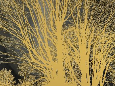 THE STARS ARE INDIFFERENT TO ASTRONOMY Nada Surf