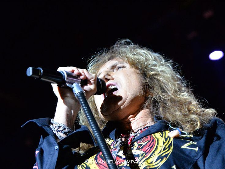 Whitesnake, è l&apos;ora del cofanetto &apos;sproporzionato&apos;