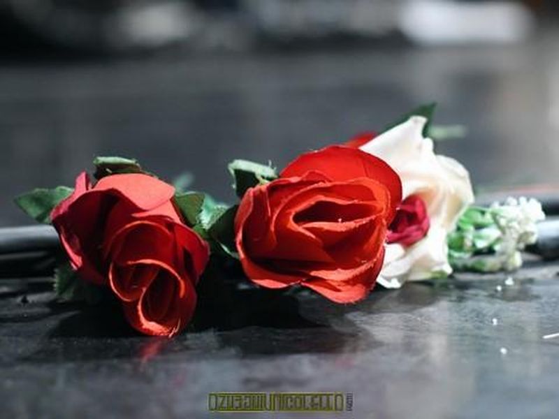 12 marzo 2018 - Hiroshima Mon Amour - Torino - The Kolors in concerto