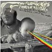 Flaming Lips - THE DARK SIDE OF THE MOON 