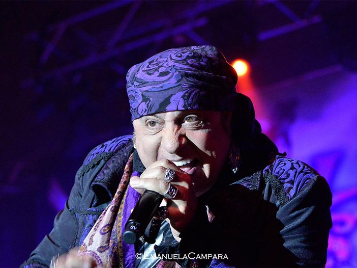 Little Steven riporta magicamente tutto a casa