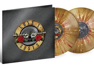 Guns n roses