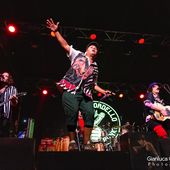 2 ottobre 2025 - Hall - Padova - Gogol Bordello in concerto