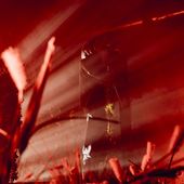 5 novembre 2025 - Alcatraz - Milano - Ethel Cain in concerto