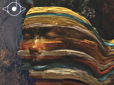 Prossimo alla pubblicazione un libro - tributo a Bjork