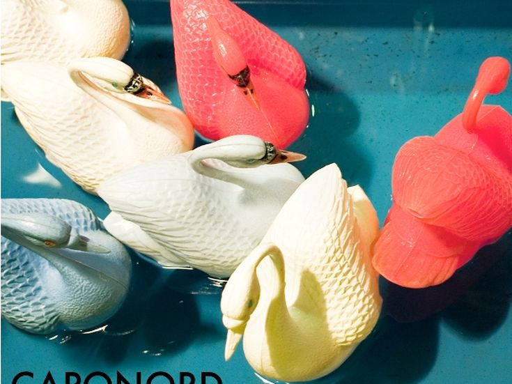 &apos;Copriti gli occhi&apos; dei Caponord: &apos;Abbiamo imparato a fidarci degli altri&apos;