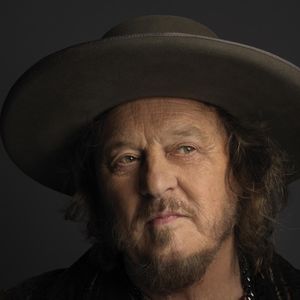 Zucchero