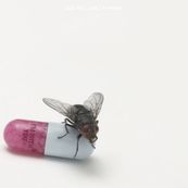 Red Hot Chili Peppers - I&#039;M WITH YOU