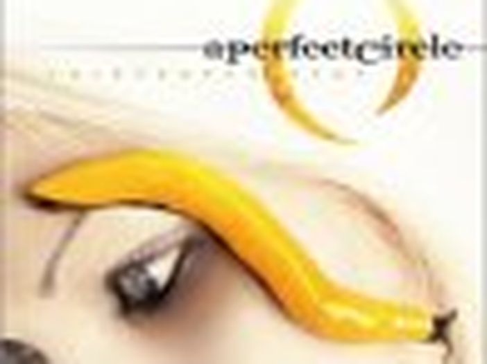 Il chitarrista degli A Perfect Circle va da solo