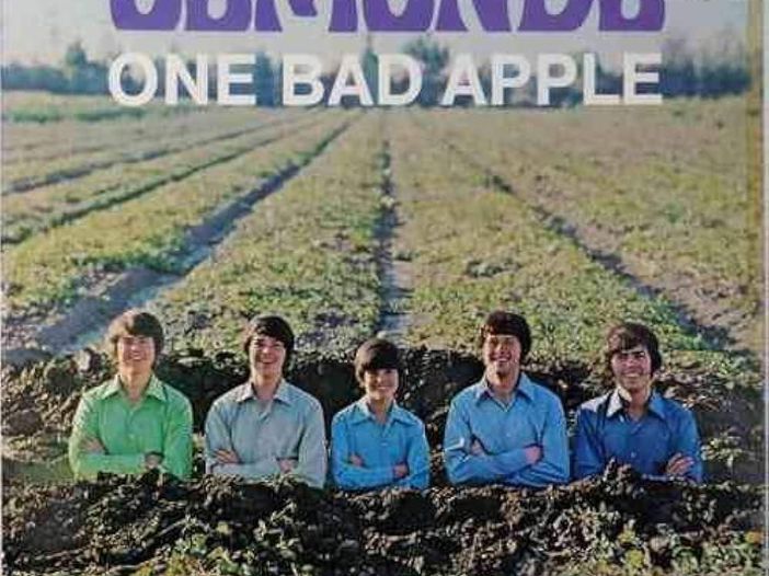 Addio a Wayne Osmond, membro degli Osmonds