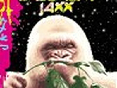 Basement Jaxx, Danny Tenaglia e Fatboy Slim vincitori dell'Ericsson Muzik Awards