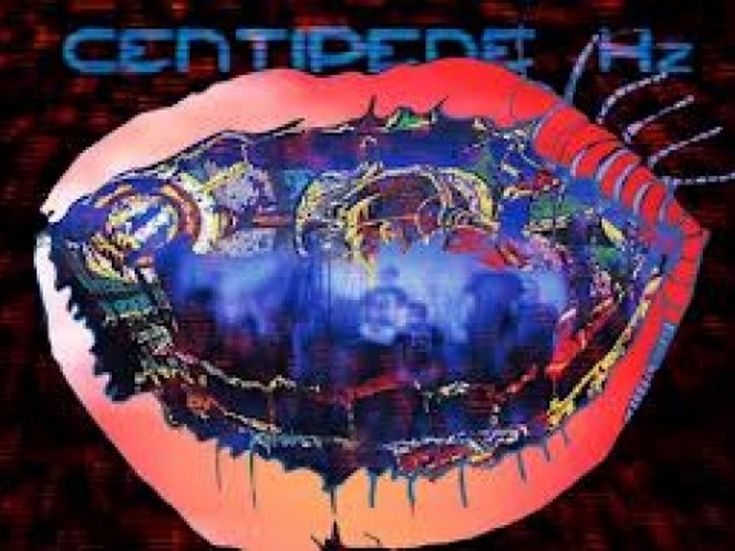 Gli Animal Collective remixano Pantha Du Prince. Ascolta qui &apos;Welt am draht&apos;