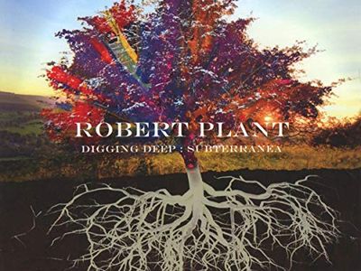 Robert Plant