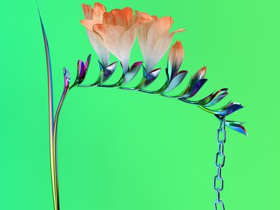 SKIN COMPANION EP I Flume