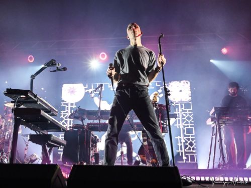 I Cani e Baustelle: un disco insieme, ecco dove trovarlo