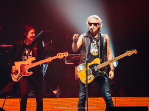 Ligabue