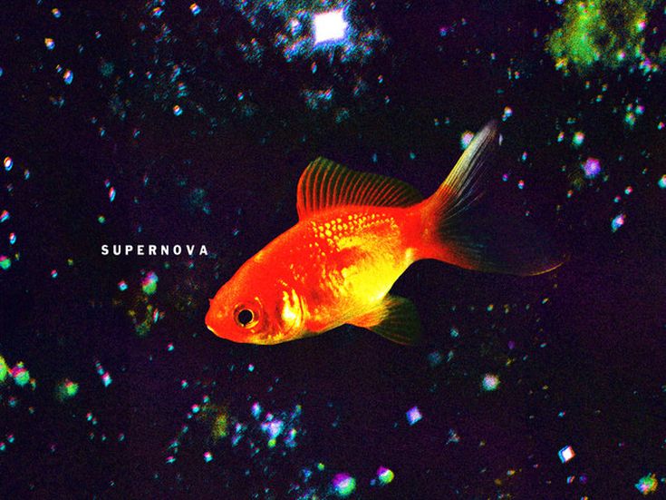 SUPERNOVA Mobrici