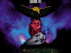 The Observer 2012: l&apos;album dei Cosmetic e l&apos;intervista a Claudia is on the Sofa