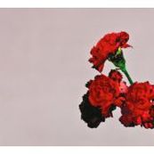 John Legend - LOVE IN THE FUTURE