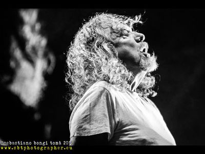Grammy Awards 2009: l&apos;album dell&apos;anno è di Robert Plant e Alison Krauss