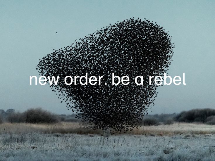 Dai New Order ai &#8216;greatest hits&#8217;, <br>ricomincia la stagione delle uscite discografiche