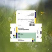 Spiritualized - EVERYTHING WAS BEAUTIFUL