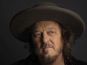 Zucchero