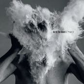 Afghan Whigs - DO TO THE BEAST
